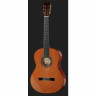 Кедр Кордоба C9 Cordoba C9 Cedar