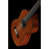 Кедр Кордоба C9 Cordoba C9 Cedar