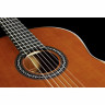 Кедр Кордоба C9 Cordoba C9 Cedar