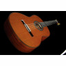 Кедр Кордоба C9 Cordoba C9 Cedar