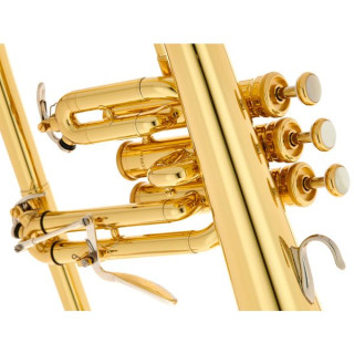 Флюгельгорн Yamaha YFH-8310 Z 02 Flugelhorn