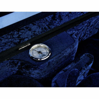 Концерт для двойной виолы Гевы Лиутерии. Gewa Liuteria Concerto Double Viol.