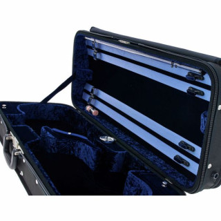 Концерт для двойной виолы Гевы Лиутерии. Gewa Liuteria Concerto Double Viol.