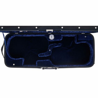 Концерт для двойной виолы Гевы Лиутерии. Gewa Liuteria Concerto Double Viol.