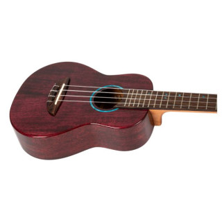 Полет Ирис Тинта Концерт TPP Flight Iris Tinta Concert TPP