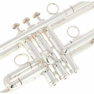 Шагерл Джеймс Моррисон Trp. JM1X-S Schagerl James Morrison Trp. JM1X-S