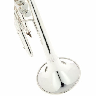 Шагерл Джеймс Моррисон Trp. JM1X-S Schagerl James Morrison Trp. JM1X-S