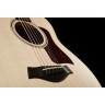 Тейлор GTe Urban Ash/Spruce Taylor GTe Urban Ash/Spruce