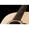 Тейлор GTe Urban Ash/Spruce Taylor GTe Urban Ash/Spruce