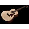 Тейлор GTe Urban Ash/Spruce Taylor GTe Urban Ash/Spruce