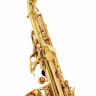 Сопрано саксофон Thomann CSKK Custom Line Soprano Sax Thomann CSKK Custom Line Soprano Sax