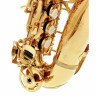 Сопрано саксофон Thomann CSKK Custom Line Soprano Sax Thomann CSKK Custom Line Soprano Sax