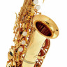 Сопрано саксофон Thomann CSKK Custom Line Soprano Sax Thomann CSKK Custom Line Soprano Sax