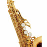 Сопрано саксофон Thomann CSKK Custom Line Soprano Sax Thomann CSKK Custom Line Soprano Sax