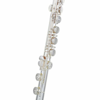 Флейта Altus AS-1107 SE Flute Altus AS-1107 SE Flute