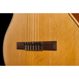 Классическая гитара LAG OC170CE Occitania LAG OC170CE Occitania