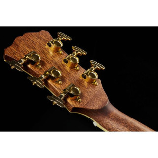 Данжелико Эксель Лексингтонский осенний взрыв DAngelico Excel Lexington Autumn Burst