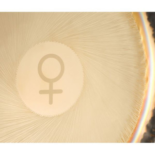 Аурис Гонги 24"/60см Планетальный Гонг Венера Auris Gongs 24"/60cm Planet Gong Venus