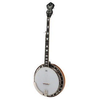Харли Бентон BJ-75Pro 5 струн Harley Benton BJ-75Pro 5 String
