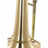 Антуан Куртуа AC551BHRA бас-тромбон Antoine Courtois AC551BHRA Bass Trombone