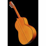Классическая гитара Amalio Burguet 2F Spruce Flamenco Amalio Burguet 2F Spruce Flamenco