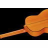 Классическая гитара Amalio Burguet 2F Spruce Flamenco Amalio Burguet 2F Spruce Flamenco