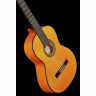 Классическая гитара Amalio Burguet 2F Spruce Flamenco Amalio Burguet 2F Spruce Flamenco