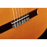 Классическая гитара Amalio Burguet 2F Spruce Flamenco Amalio Burguet 2F Spruce Flamenco