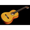 Классическая гитара Amalio Burguet 2F Spruce Flamenco Amalio Burguet 2F Spruce Flamenco