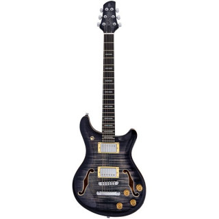 Larry Carlton Q7 Hollow Transparent Black Larry Carlton Q7 Hollow Transparent Black