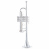 Труба Yamaha YTR-4435 SII Yamaha YTR-4435 SII Trumpet