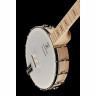 Банджо Deering Goodtime A/E Banjo Deering Goodtime A/E Banjo