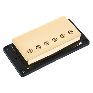 Seymour Duncan Х.В. Золотой мост Трембакера Seymour Duncan HV Trembucker Bridge Gold