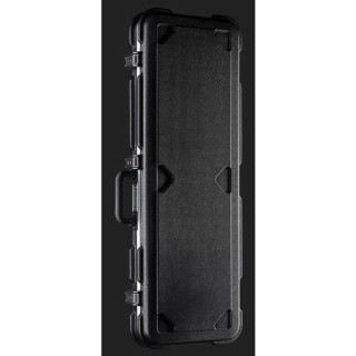 Электрогитары Xotic Guitars XTC-1 Ash MN BB Medium Xotic Guitars XTC-1 Ash MN BB Medium