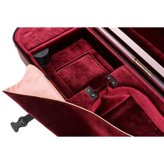 Артонус Джистон скрипка WB Artonus Geeston Violin WB