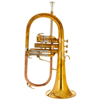 Флюгельгорн Thomann FH-900J Raw JAZZ Bb-Flugelhorn Bundle №517036 (Комплект)