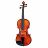 Скрипка с набором Startone Student III Violin Set 1/2 Startone Student III Violin Set 1/2