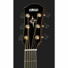Yamaha CPX1200II TBL Yamaha CPX1200II TBL
