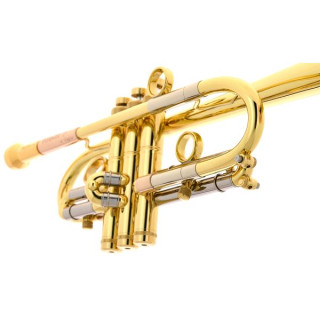 Труба Taylor Piranha C Taylor Trumpets Piranha C-Trumpet