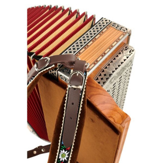 Strasser Professional G/C/F/Bb Вишневый Strasser Professional G/C/F/Bb Cherry