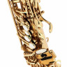 Альт-саксофон Thomann ASBGG Custom Line Alto Sax