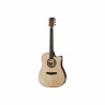Lakewood D-32 CP 2024 Lakewood D-32 CP 2024