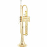 Труба Yamaha YTR-6335 Trumpet Yamaha YTR-6335 Trumpet
