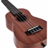 Kala KA-15SLN с длинным горлышком из красного дерева Kala KA-15SLN Mahogany Long Neck