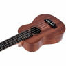 Kala KA-15SLN с длинным горлышком из красного дерева Kala KA-15SLN Mahogany Long Neck