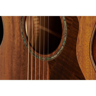 Электроакустическая гитара Taylor 724ce Taylor 724ce