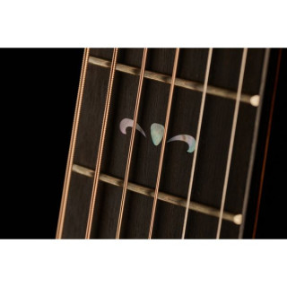 Электроакустическая гитара Taylor 724ce Taylor 724ce