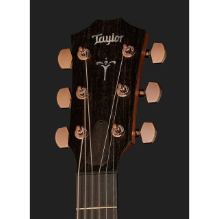 Электроакустическая гитара Taylor 724ce Taylor 724ce