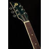 Полуакустическая гитара Duesenberg Mike Campbell 40th Anniversary Duesenberg Mike Campbell 40th Anniversary