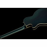 Полуакустическая гитара Duesenberg Mike Campbell 40th Anniversary Duesenberg Mike Campbell 40th Anniversary